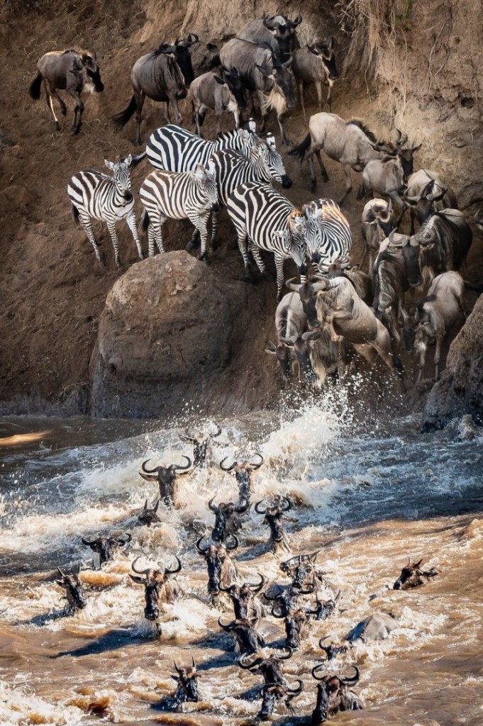 Great Migration