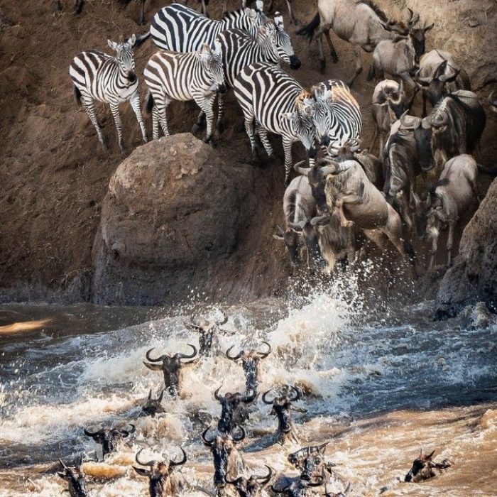Great Migration