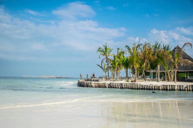 Palmen und Strand Tansania