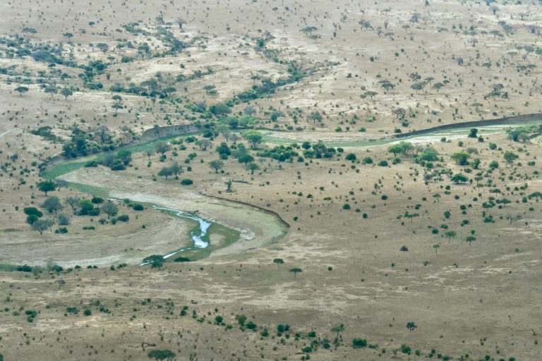 Landschaft Tarangire