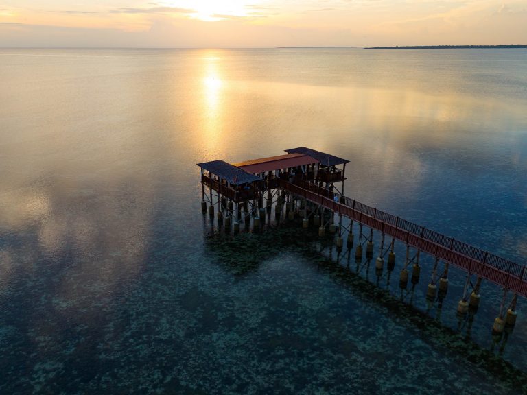 Steg im Meer Tansania